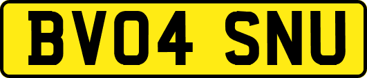 BV04SNU