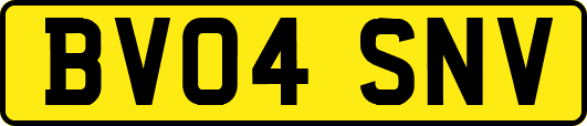 BV04SNV