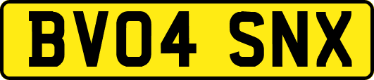 BV04SNX