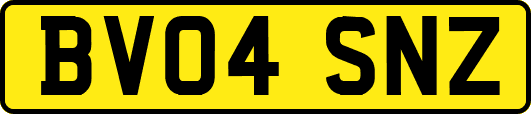 BV04SNZ