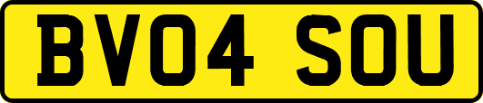 BV04SOU