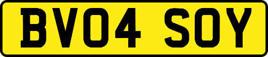 BV04SOY