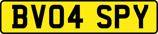 BV04SPY