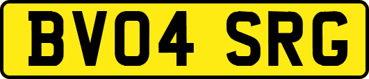 BV04SRG