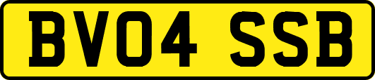 BV04SSB