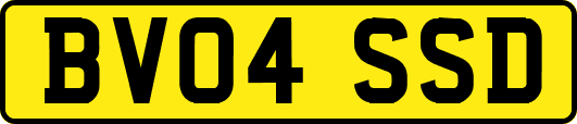 BV04SSD