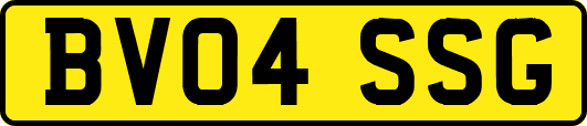 BV04SSG