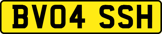 BV04SSH