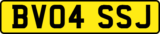 BV04SSJ