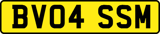 BV04SSM