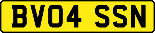 BV04SSN