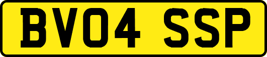 BV04SSP