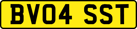 BV04SST