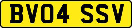 BV04SSV