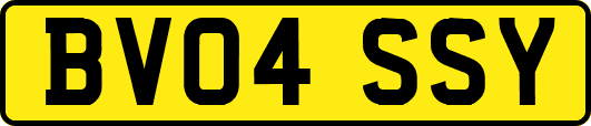 BV04SSY