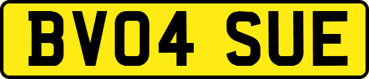 BV04SUE
