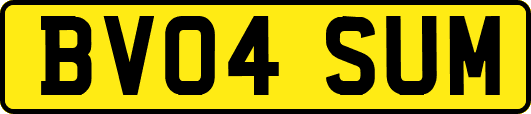 BV04SUM