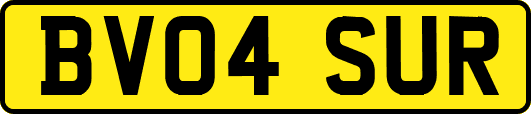 BV04SUR