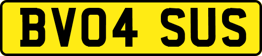 BV04SUS