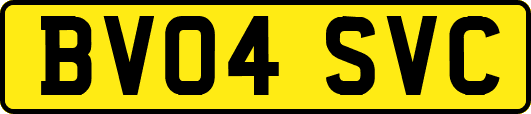 BV04SVC