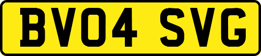 BV04SVG