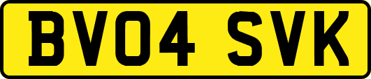 BV04SVK