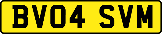 BV04SVM