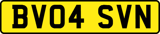 BV04SVN