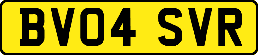 BV04SVR