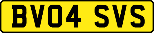BV04SVS