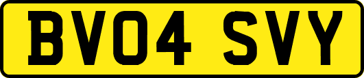 BV04SVY
