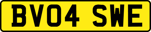 BV04SWE