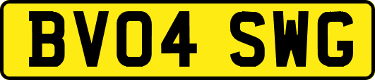 BV04SWG