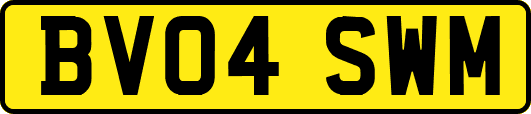 BV04SWM
