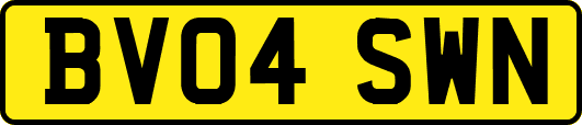 BV04SWN