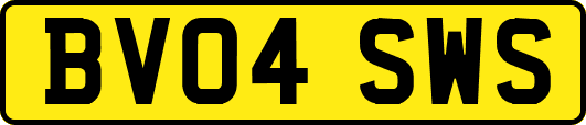 BV04SWS
