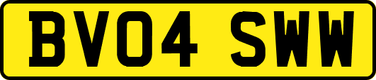 BV04SWW