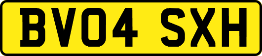 BV04SXH