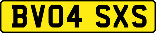 BV04SXS