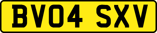 BV04SXV