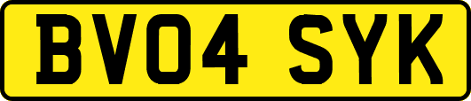 BV04SYK