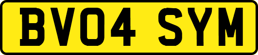 BV04SYM