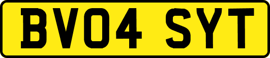 BV04SYT