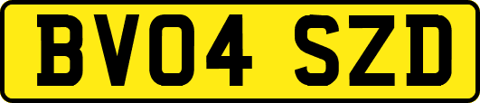 BV04SZD