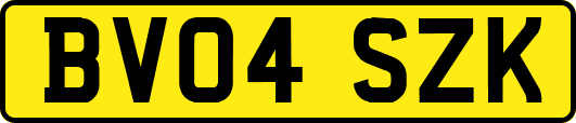BV04SZK