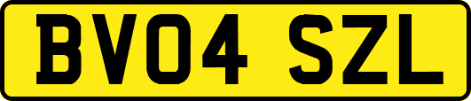 BV04SZL