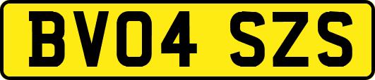 BV04SZS