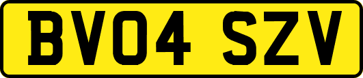 BV04SZV