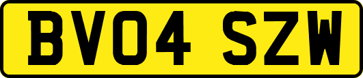 BV04SZW