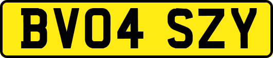 BV04SZY